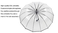 Long Handle Clear Dome Shaped Umbrella High Strength Flexibility Windproof supplier