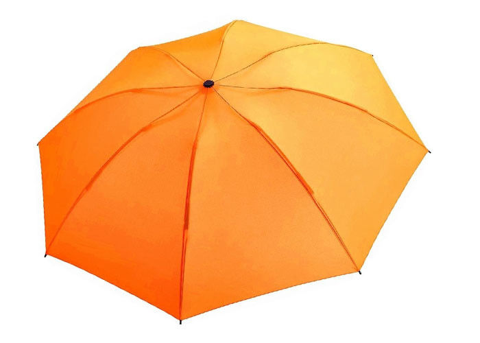 Uv Protection Compact Travel Umbrella Metal Ribs Shaft Auto Open  Close supplier